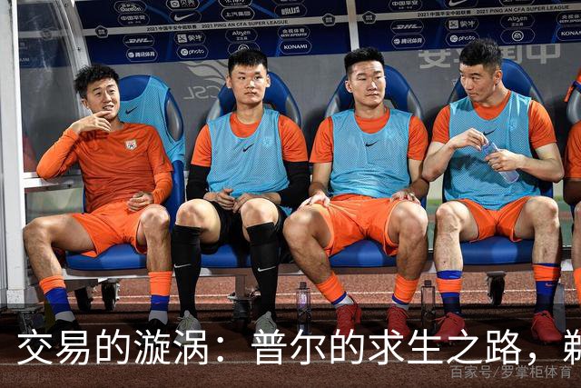 交易的漩涡：普尔的求生之路，鹈鹕的迷航之旅